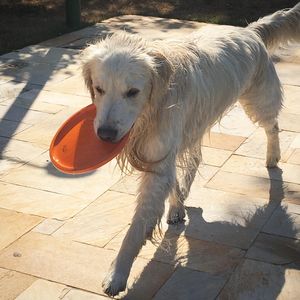 Image post by @mikethewhitegolden on Instagram