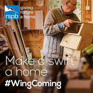 Image post by @rspb on Instagram