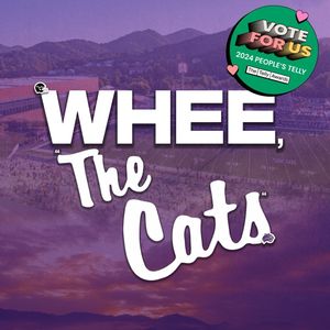Image post by @wheethecats on Instagram