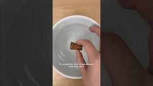 Video post by @kiwico on YouTube