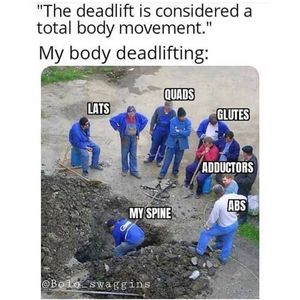 Image post by @thetrainingmanual on Instagram