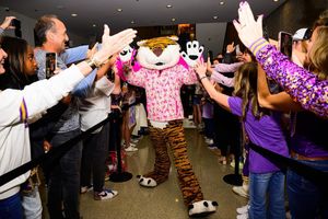 Image post by @lsumiketiger on Instagram