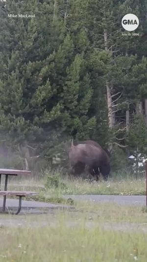 Video post by @gma on TikTok