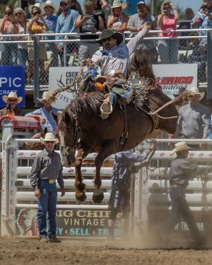 Image post by @sistersrodeo on Instagram