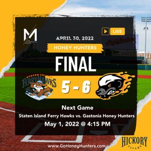 Image post by @gohoneyhunters on Twitter