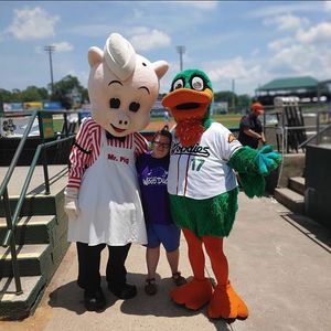 Image post by @gowoodducks on Instagram