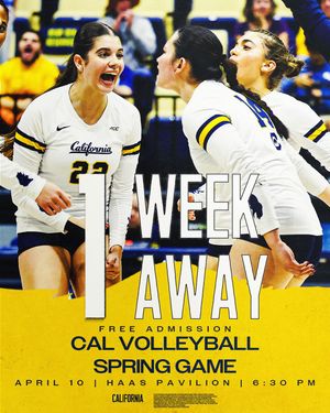 Image post by @calvolleyball on Instagram