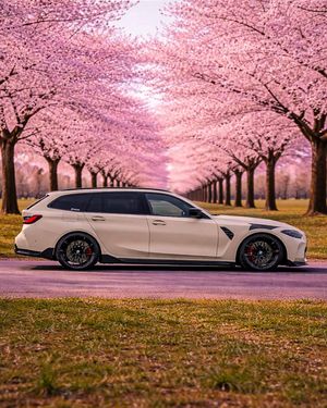 Image post by @s58.m3 on Instagram