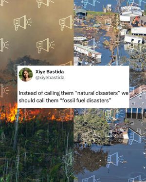 Image post by @greenpeaceusa on Instagram