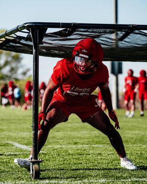 Image post by @UNMLoboFB on Twitter/X