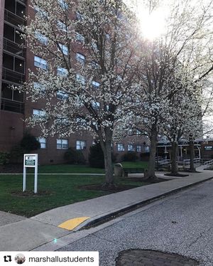 Image post by @marshallu on Instagram