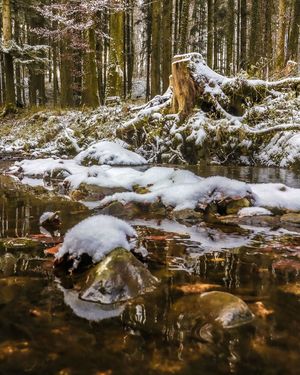 Image post by @cristan.nature.photography on Instagram