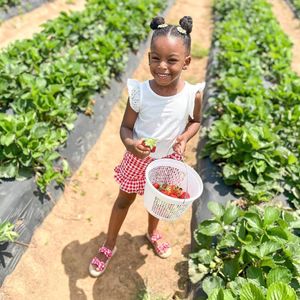 Image post by @southernbellefarm on Instagram