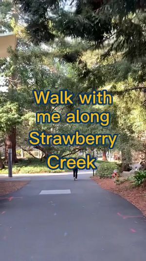 Video post by @ucberkeley on TikTok