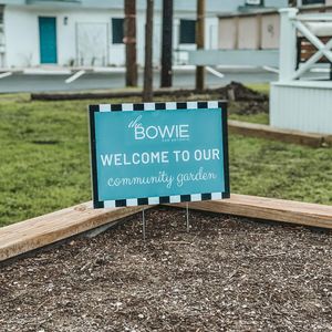 Image post by @thebowiesa on Instagram