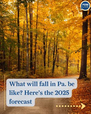 Image post by @pennlive on Instagram
