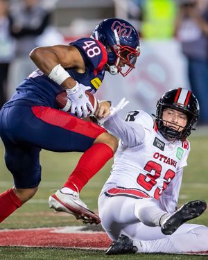 Image post by @mtlalouettes on Instagram