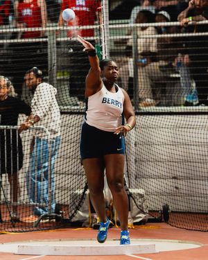 Image post by @nicoklementzos on Instagram