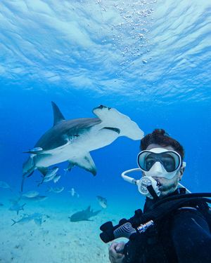 Image post by @gopro on Instagram
