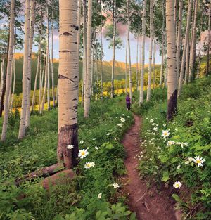 Image post by @vailmtn on Instagram