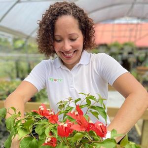 Image post by @ahs_gardening on Instagram