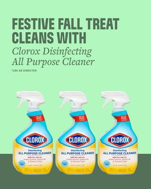 Image post by @clorox on Instagram