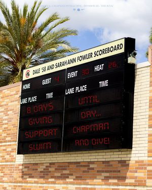 Image post by @chapmanuswimdive on Instagram