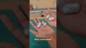 Video post by @kiwico on YouTube