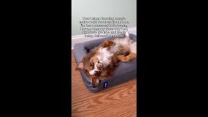 Video post by @casper on YouTube