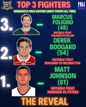 Image post by @hockeyfights on Instagram