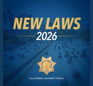 Image post by @temlasd on Instagram