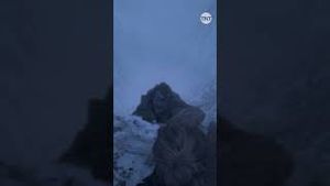 Video post by @tnt on YouTube