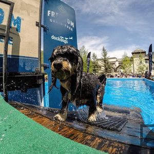 Image post by @vailmtn on Instagram