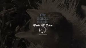 Video post by @riserecords on YouTube