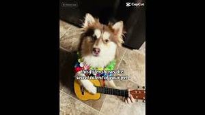 Video post by @katrinaadamson3 on YouTube
