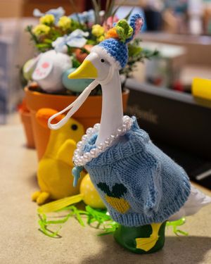 Image post by @stjohnscountylibrary on Instagram