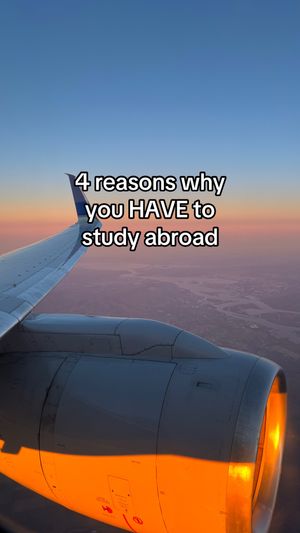 Video post by @homefromcollege on TikTok