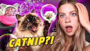 Video post by @sydneymorgan on YouTube