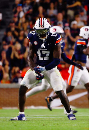 Video post by @auburnfootball on TikTok