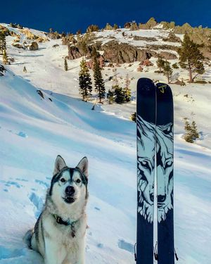 Image post by @j_skis on Instagram