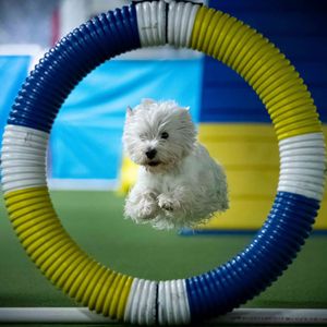 Image post by @tcrbrad on Instagram