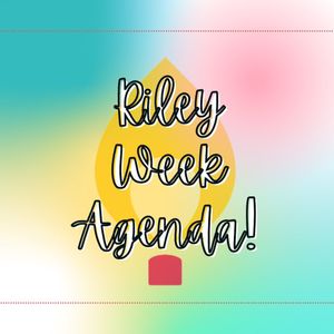 Image post by @uindydm on Instagram