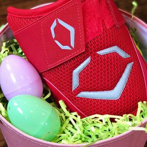 Image post by @evoshield on Instagram
