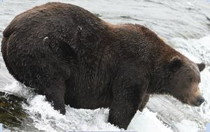 Image post by @nationalparkservice on Instagram