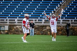 Image post by @utampamlax on Instagram