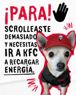 Image post by @kfcecuador on Instagram