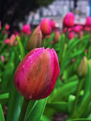 Image post by @samsungcanada on Instagram