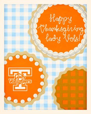 Image post by @vol_vball on Instagram