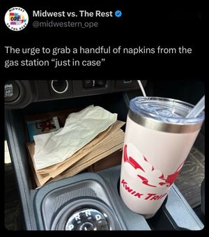 Video post by @midwestvstherest on TikTok