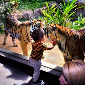 Image post by @sandiegozoo on Instagram